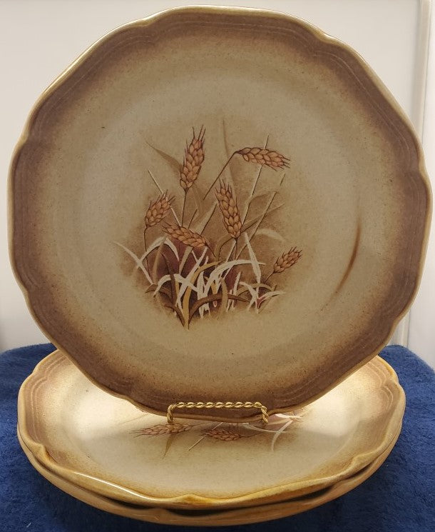 Set of 3 Mikasa Whole Wheat Granola Salad Plates LK