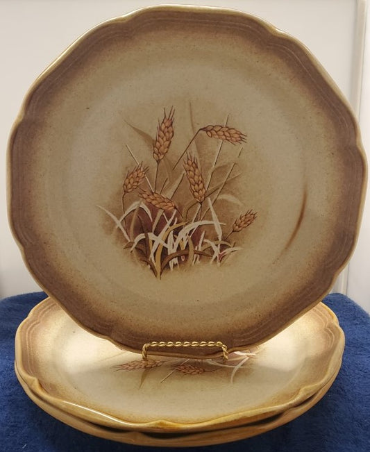 Set of 3 Mikasa Whole Wheat Granola Salad Plates LK