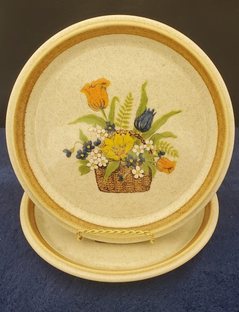 Set of 2 Mikasa Garden Bouquet Dinner Plates LK