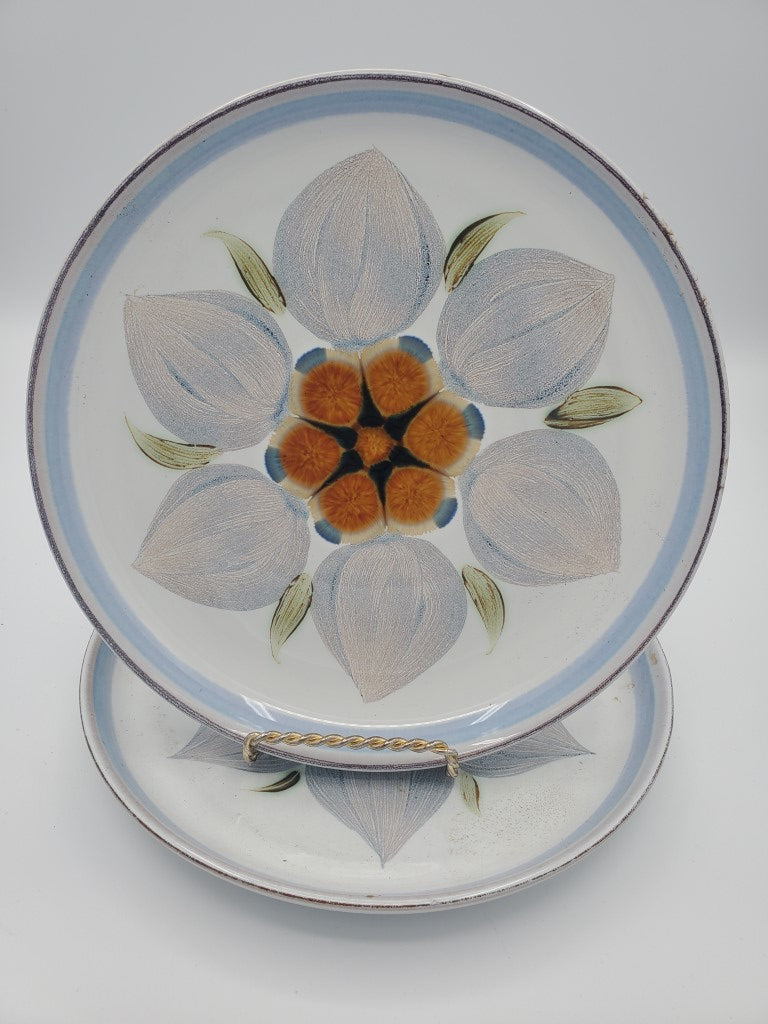 Set of 2 Denby Chatsworth Salad Plates LK