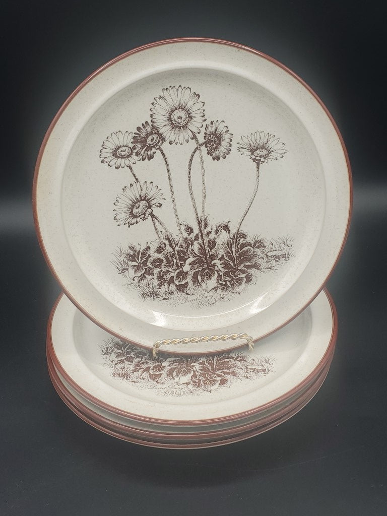 Set of 4 Noritake Desert Flowers Salad Plates LK