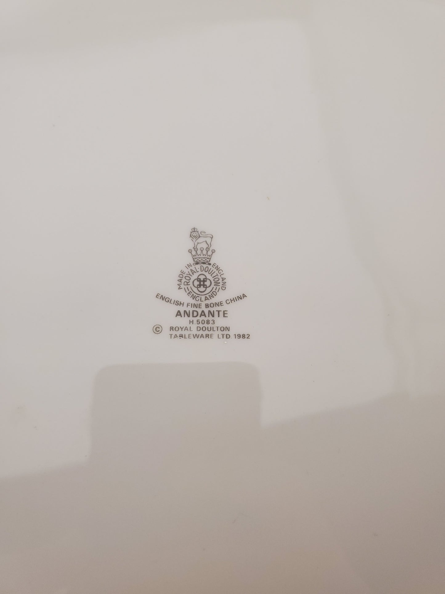 Royal Doulton Andante 16" Oval Serving Platter