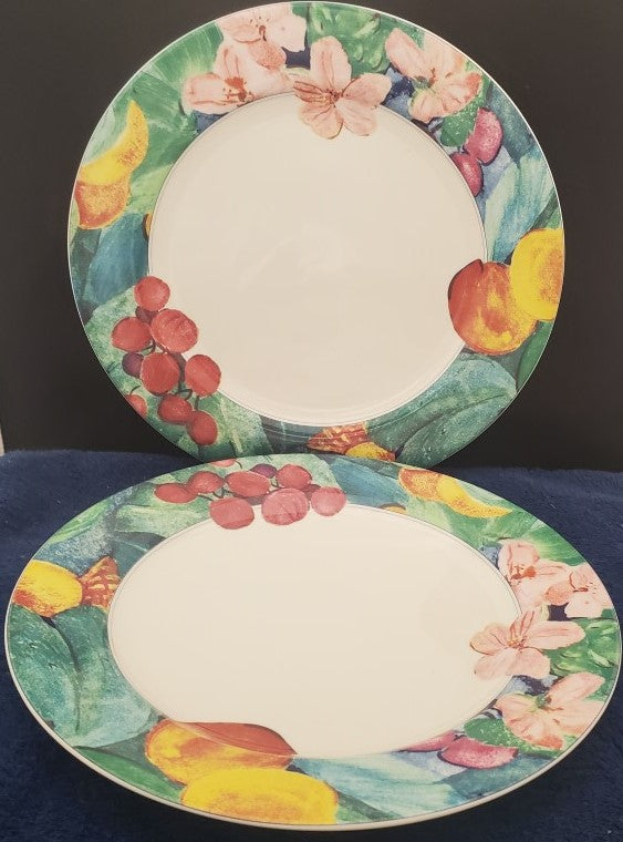 Set of 2 Mikasa Exotic Garden Dinner Plates LK