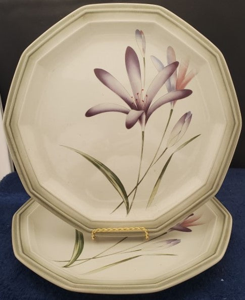 Set of 2 Mikasa Twice Nice Dinner Plates LK