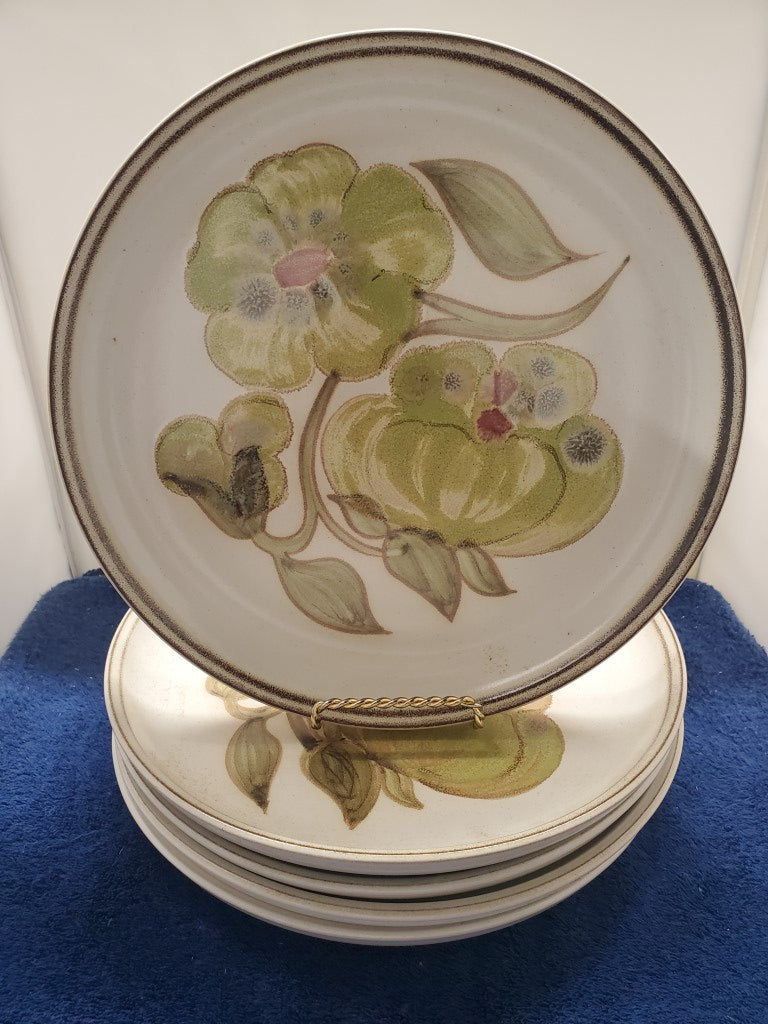 Set of 5 Denby Troubadour Dinner Plates LK