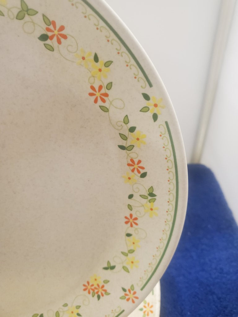Set of 2 Lenox Countryside Dinner Plates LK