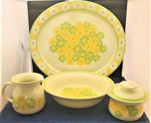 Franciscan Picnic Hostess Set LK