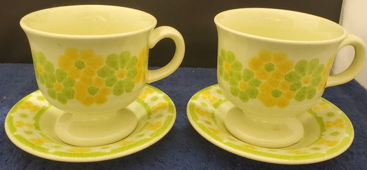 Set of 2 Franciscan Picnic Cup & Saucer Sets LK
