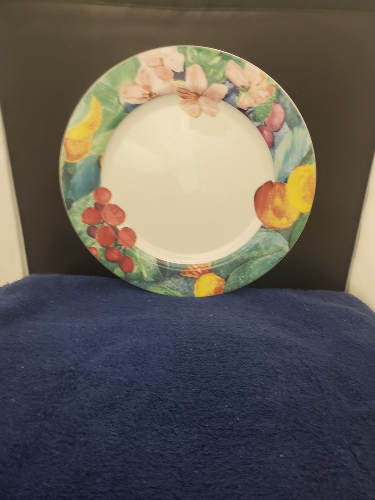 Set of 2 Mikasa Exotic Garden Dinner Plates LK