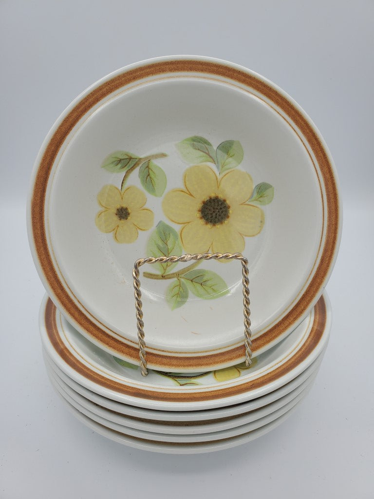 Set of 6 Royal Doulton Summer Days Coupe Soup Bowls LK