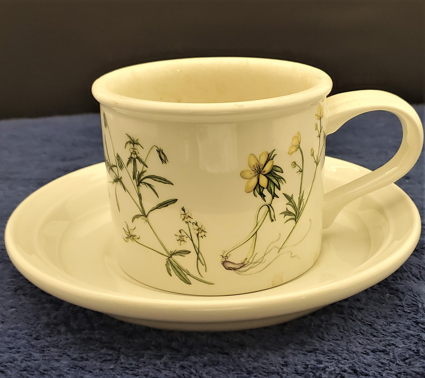 Portmeirion Queen's Hidden Garden Drum Flat Cup & Saucer Sets (Butter Cup)