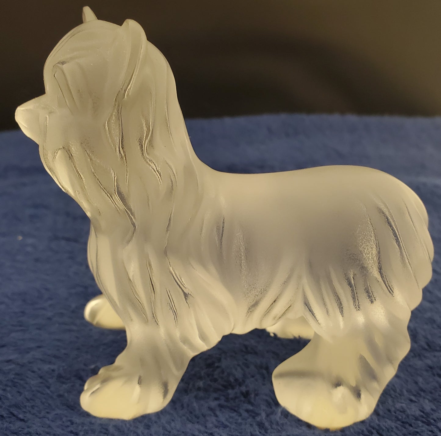 Lalique Yorkshire Terrier Standing (11747) Dog