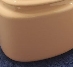 Mikasa Color Classics Salmon Creamer & Sugar Bowl with Lid LK