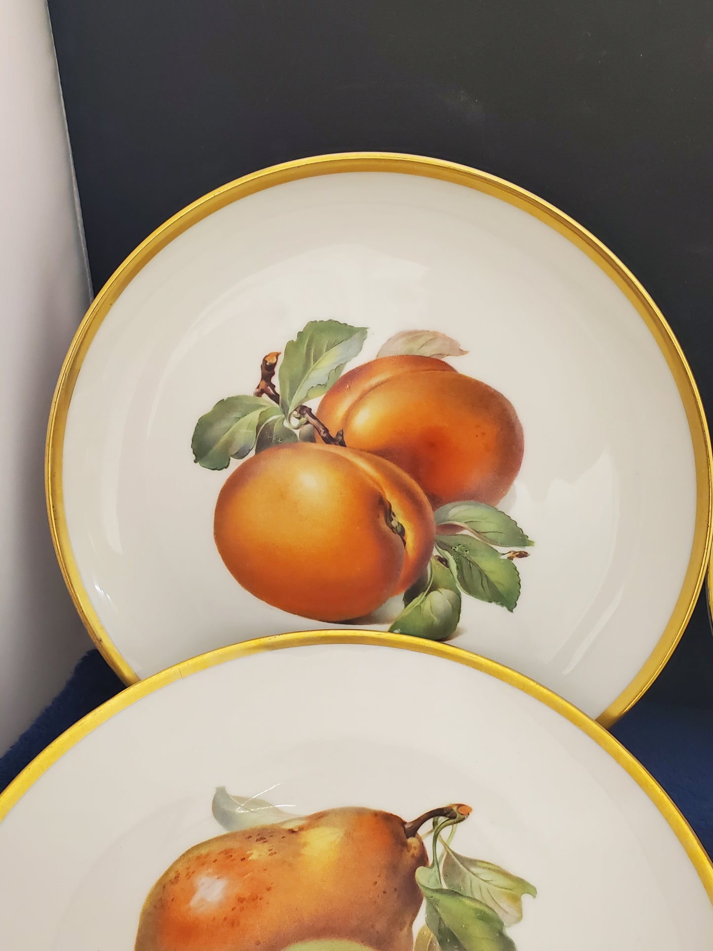 Hutschenreuther Pairs of Fruits (Hut749) Set of 6 Salad Plates