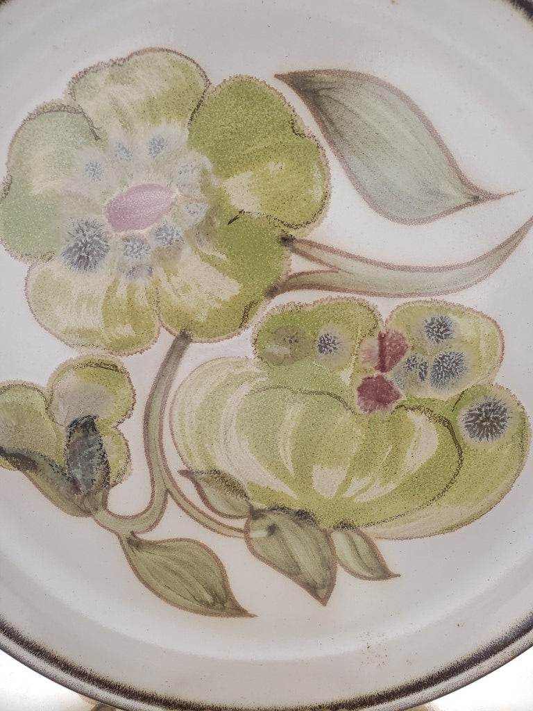 Set of 5 Denby Troubadour Dinner Plates LK