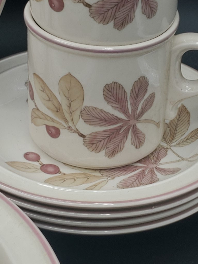 Wedgwood Chestnut 4 - 5 Piece Place Settings LK