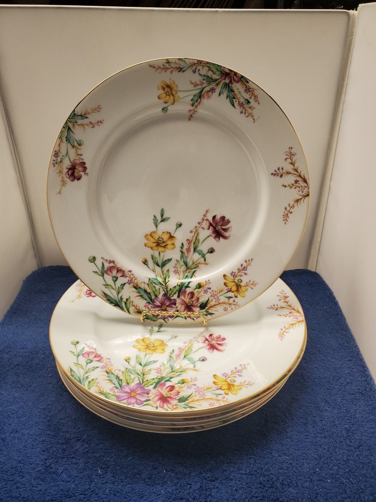 Set of 6 Kent Springfield Salad Plates LK