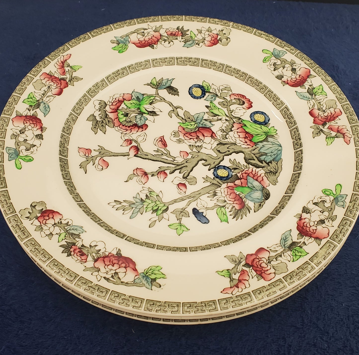Johnson Brothers Indian Tree Set of 3 Dinner Plates (Imperfect)