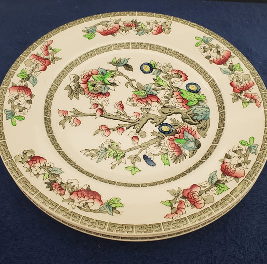 Johnson Brothers Indian Tree Set of 3 Dinner Plates (Imperfect)