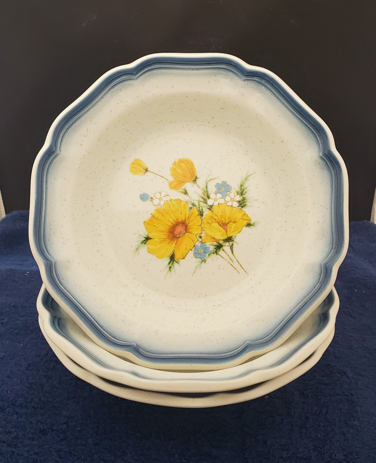 Set of 3 Mikasa Country Club Rim Soup Bowls LK