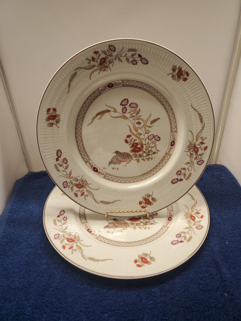 Set of 2 Royal Doulton Russet Glen Dinner Plates LK