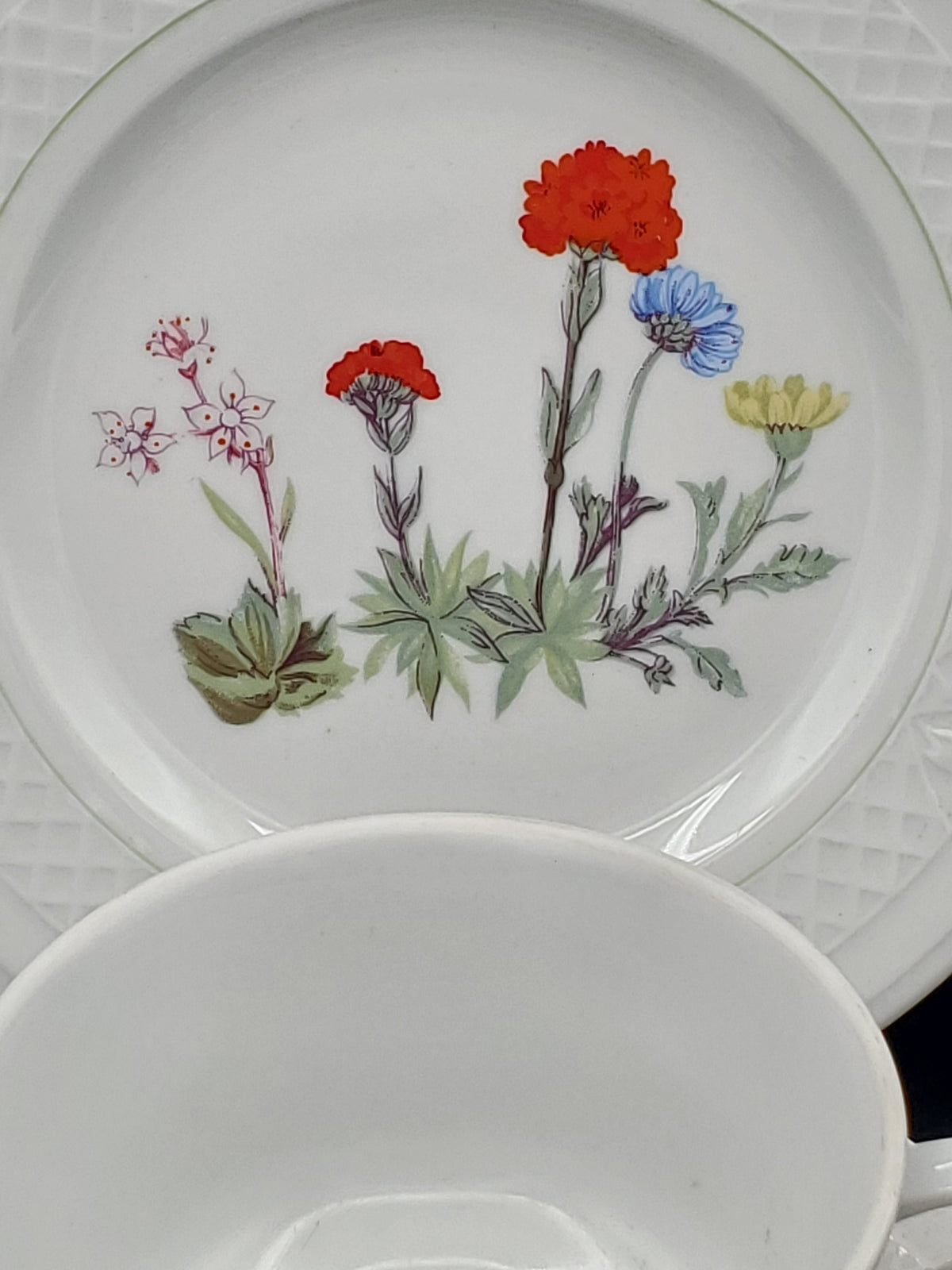 Philippe Deshoulieres Louis Lourioux Wild Flower Lot of Seven Pieces - Salad Bread Plates Cup & Saucer LK
