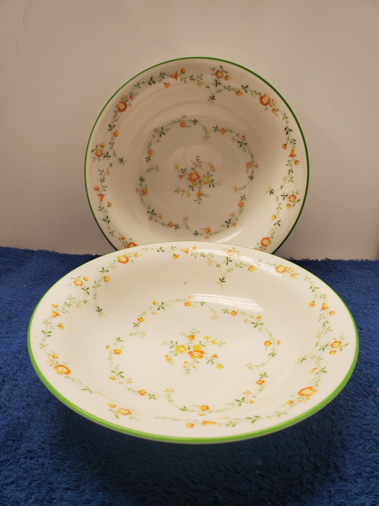 Set of 2 Noritake Debut Coupe Soup Bowls LK