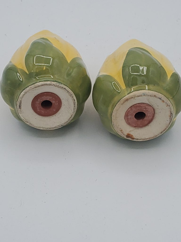 Franciscan Meadow Rose Salt & Pepper Shakers LK