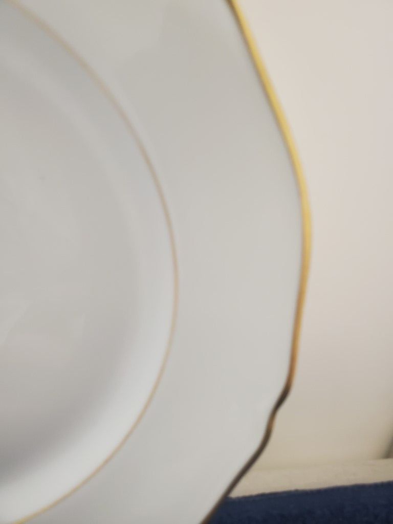 Chastagner Limoges (France) Unknown Chop Plate LK