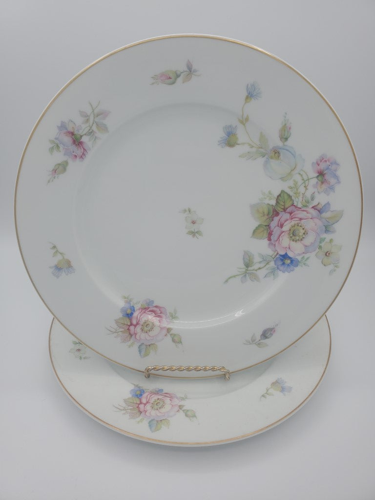 Set of 2 Rosenthal 2554-61 Dinner Plates LK