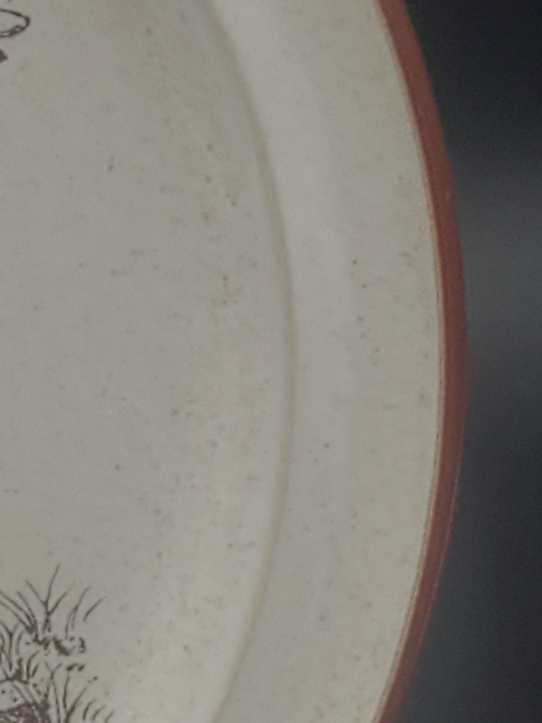 Set of 4 Noritake Desert Flowers Salad Plates LK