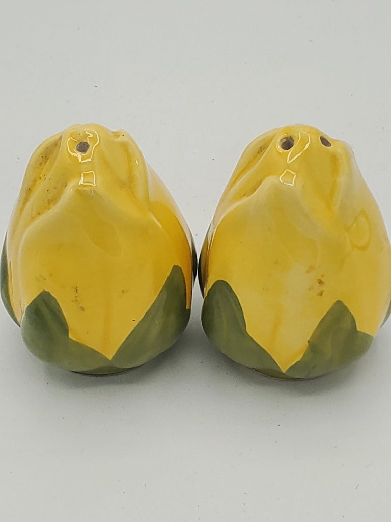 Franciscan Meadow Rose Salt & Pepper Shakers LK