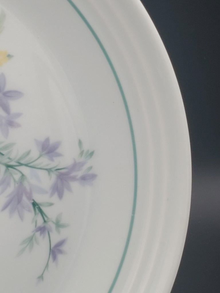 Set of 4 Royal Doulton Shady Lane Dinner Plates LK