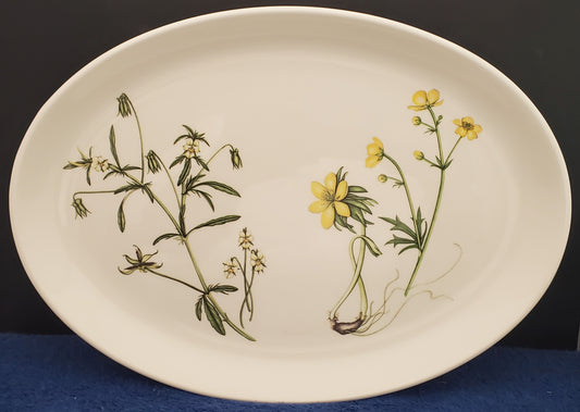 Portmeirion Queen's Hidden Garden 12" Oval Serving Platter (Butter Cup)