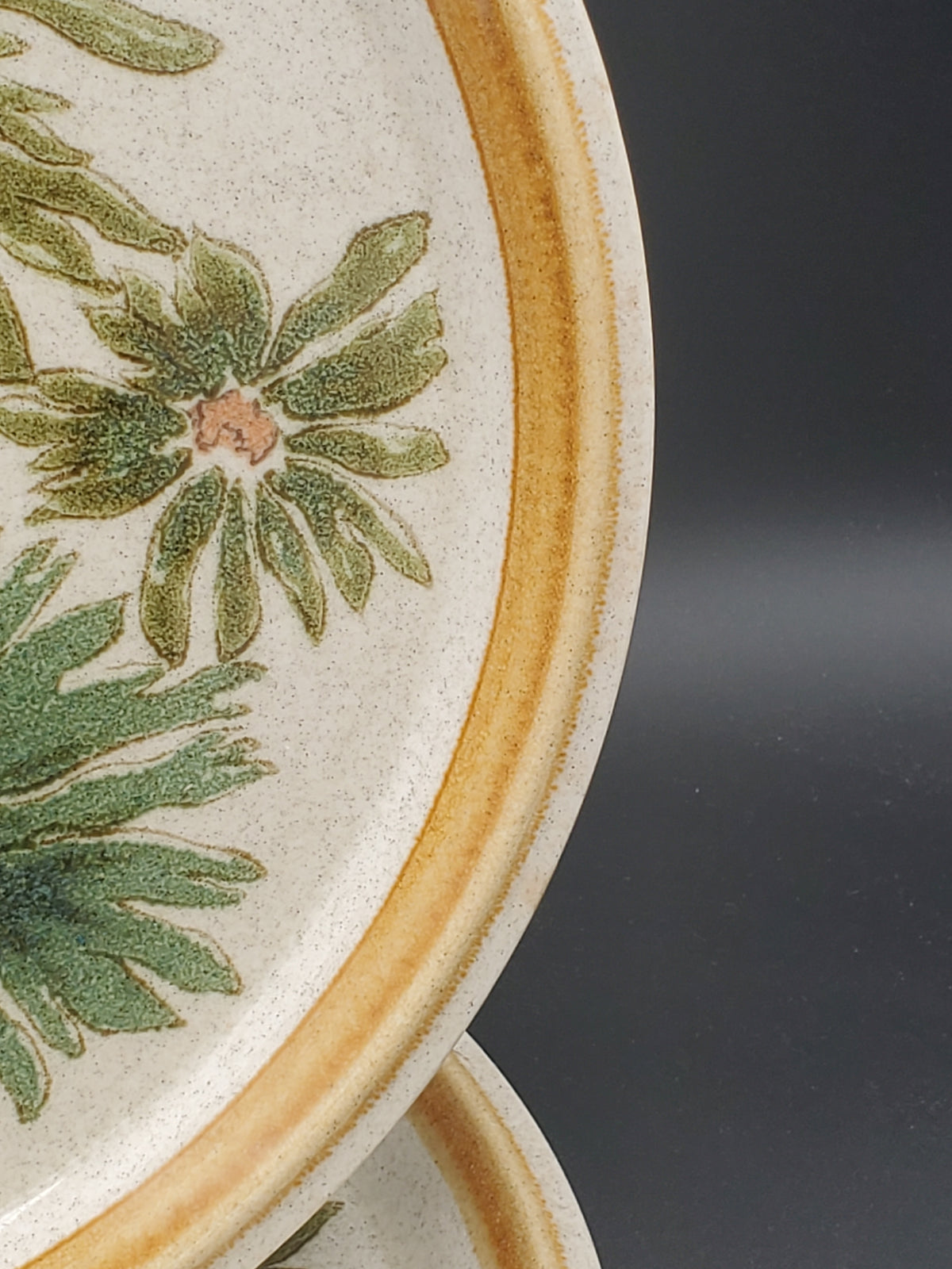 Set of 4 Mikasa Fragrance Dinner Plates LK