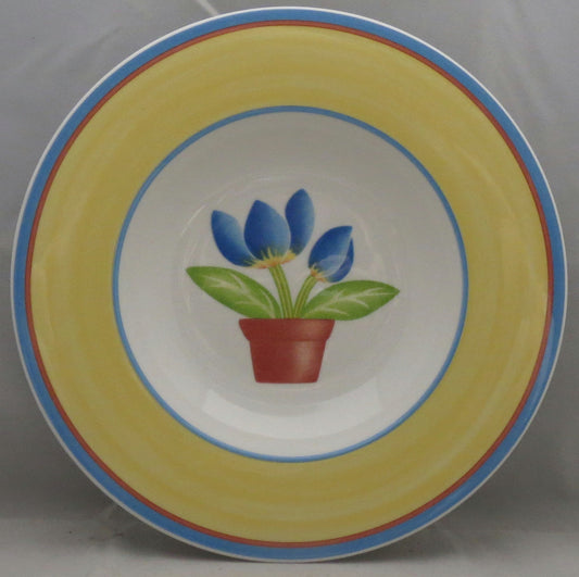 Set of 4 Villeroy & Boch Twist Dora Large Rim Soup Bowls