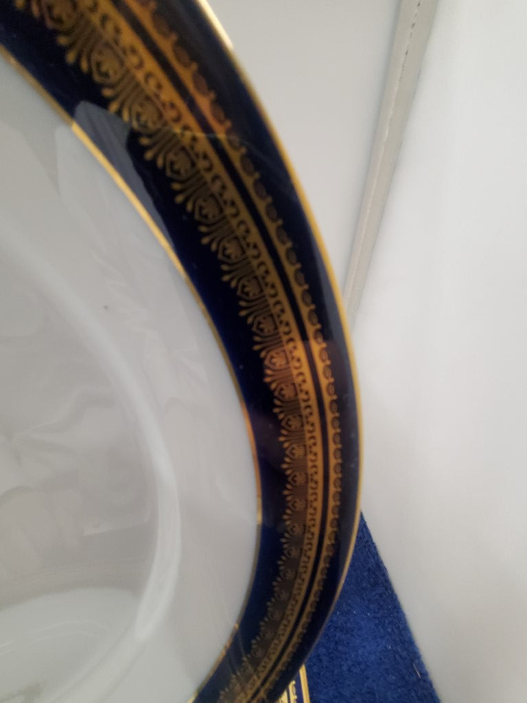 Set of 5 Noritake Vienna Dinner Plates LK