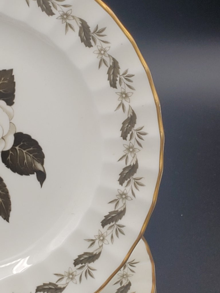 Set of 5 Royal Worcester Engadine Bread & Butter Plates LK