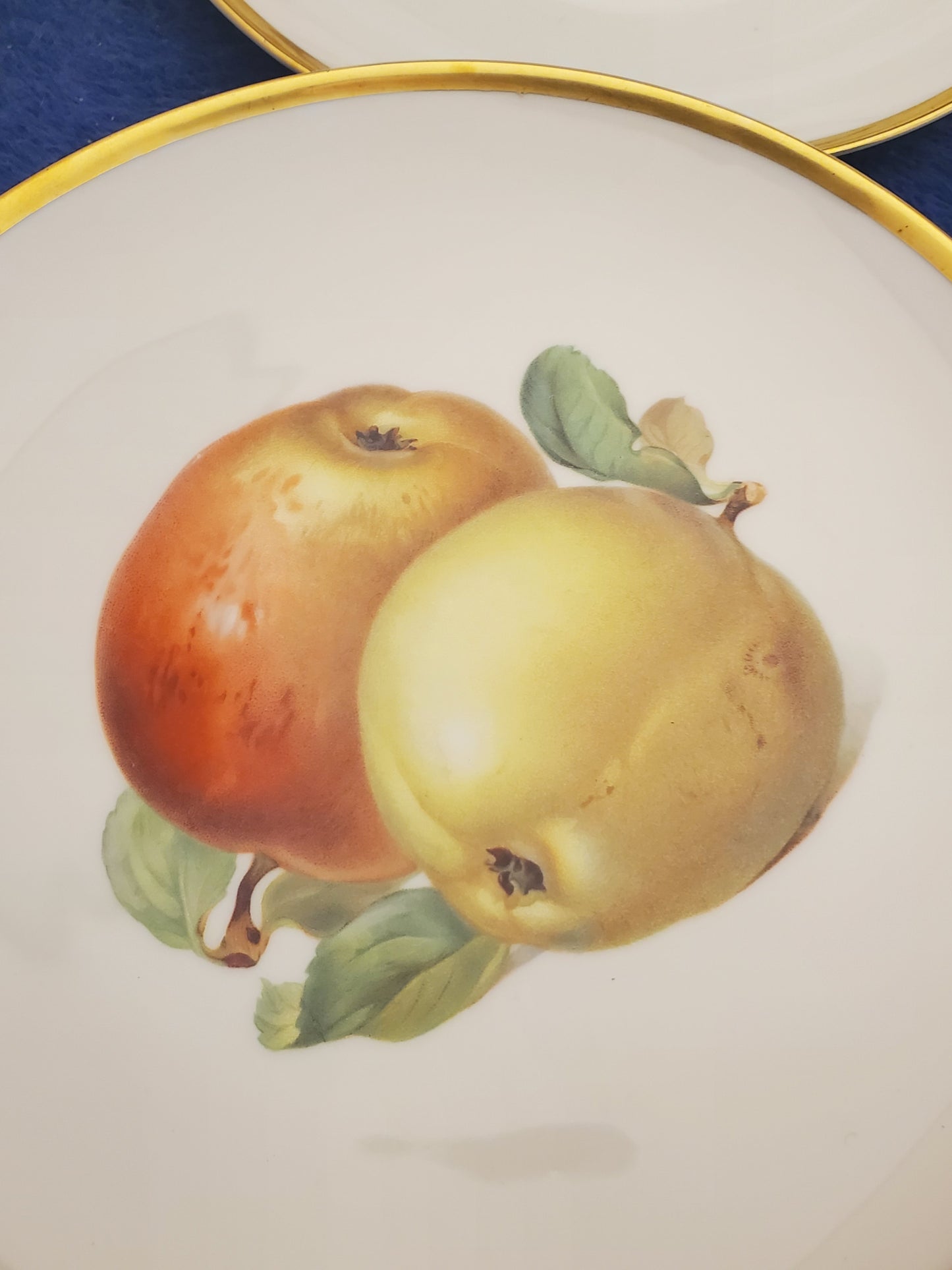 Hutschenreuther Pairs of Fruits (Hut749) Set of 6 Salad Plates