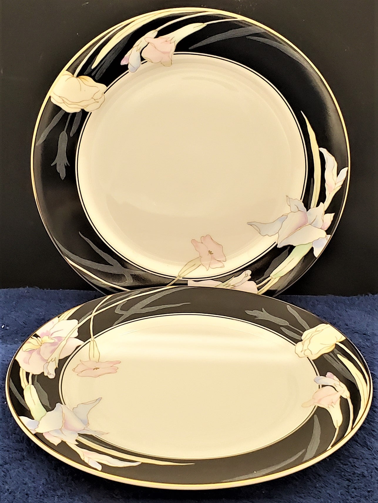 Set of 2 Mikasa Charisma Black Dinner Plates LK