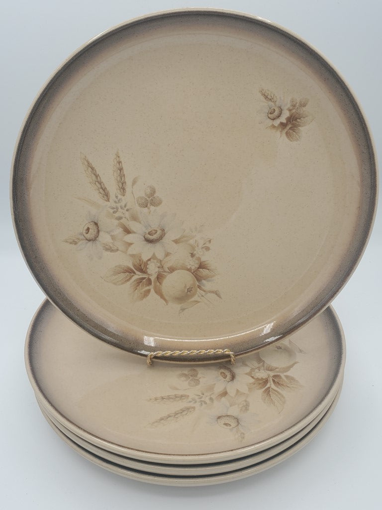 Set of 4 Denby Memories Dinner Plates LK